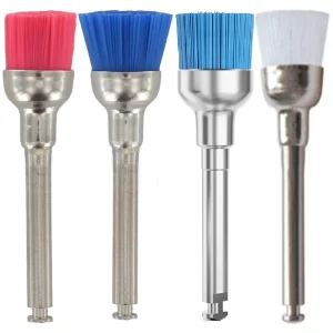 Prophy brushes
